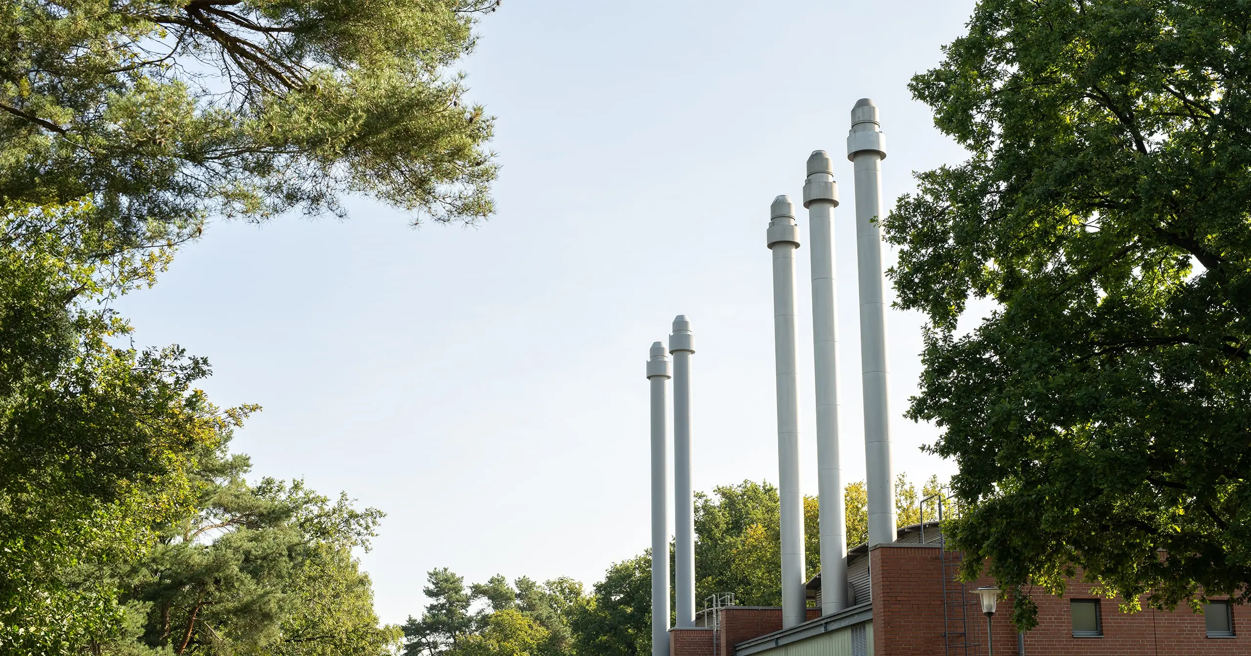 Fünf hohe Schornsteine einer Energieanlage zwischen grünen Bäumen vor hellem Himmel.